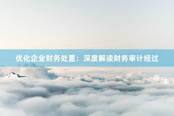 优化企业财务处置：深度解读财务审计经过