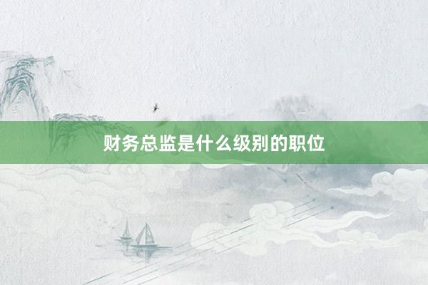 财务总监是什么级别的职位